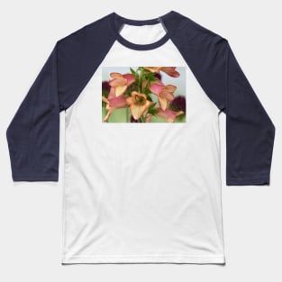 Digitalis x valinii Illumination Pink = 'Tmdgfp001' Foxglove Illumination Series Baseball T-Shirt